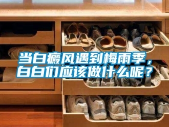 企業(yè)新聞當(dāng)白癜風(fēng)遇到梅雨季，白白們應(yīng)該做什么呢？