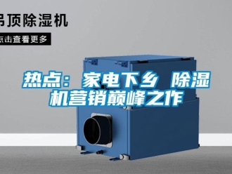 行業(yè)新聞熱點(diǎn)：家電下鄉(xiāng) 除濕機(jī)營(yíng)銷(xiāo)巔峰之作
