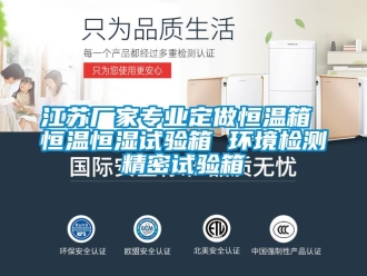 知識百科江蘇廠家專業定做恒溫箱 恒溫恒濕試驗箱 環境檢測精密試驗箱