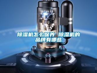 企業新聞除濕機怎么保養 除濕機的品牌有哪些