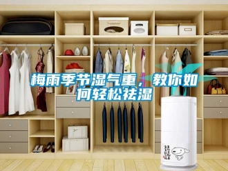 常見問題梅雨季節濕氣重，教你如何輕松祛濕