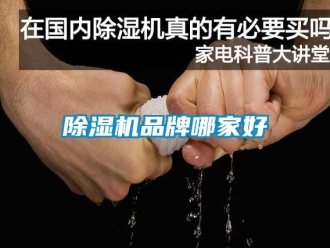 企業新聞除濕機品牌哪家好