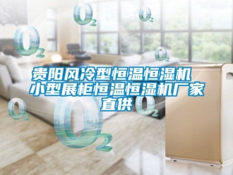 知識百科貴陽風(fēng)冷型恒溫恒濕機(jī) 小型展柜恒溫恒濕機(jī)廠家直供