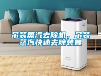 企業新聞吊裝蒸汽去除機，吊裝蒸汽快速去除裝置