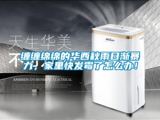 常見問題纏纏綿綿的華西秋雨日漸暴力，家里快發霉了怎么辦！