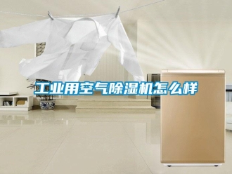 常見問題工業用空氣除濕機怎么樣