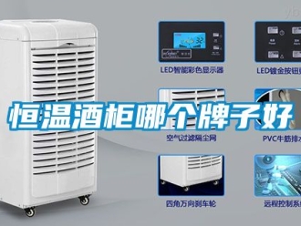 知識百科恒溫酒柜哪個牌子好