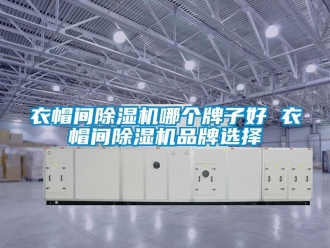 企業新聞衣帽間除濕機哪個牌子好 衣帽間除濕機品牌選擇