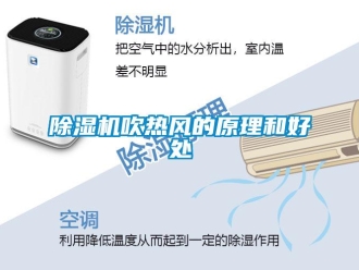 企業新聞除濕機吹熱風的原理和好處