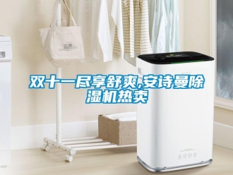 企業新聞雙十一盡享舒爽,安詩曼除濕機熱賣