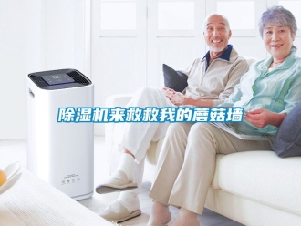 行業新聞除濕機來救救我的蘑菇墻