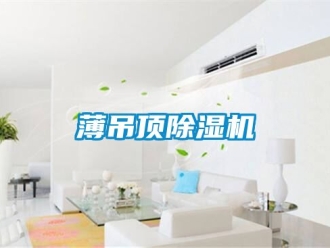 企業(yè)新聞薄吊頂除濕機(jī)