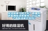 除濕機哪個牌子好？質(zhì)量好的家用除濕機推薦，什么牌子的除濕機比較好？