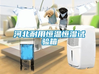 知識(shí)百科河北耐用恒溫恒濕試驗(yàn)箱
