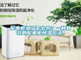 企業新聞配電柜濕了怎么辦？一種有效的配電柜除濕方法。