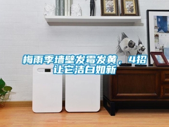 行業(yè)新聞梅雨季墻壁發(fā)霉發(fā)黃，4招讓它潔白如新