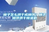 柿子怎么烘干成柿餅？柿子柿餅烘干除濕機