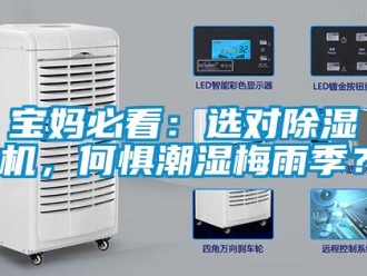 常見問題寶媽必看：選對除濕機，何懼潮濕梅雨季？