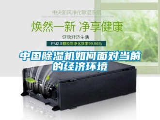 常見問題中國除濕機如何面對當前的經濟環境