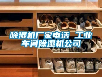 企業新聞除濕機廠家電話 工業車間除濕機公司