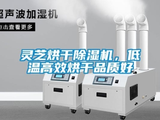 行業新聞靈芝烘干除濕機，低溫高效烘干品質好