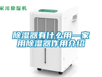 行業新聞除濕器有什么用—家用除濕器作用介紹