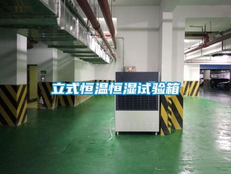 知識百科立式恒溫恒濕試驗箱
