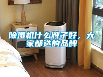 企業(yè)新聞除濕機(jī)什么牌子好，大家都選的品牌