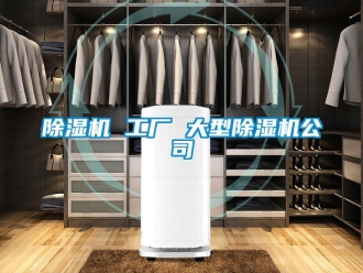 企業新聞除濕機 工廠 大型除濕機公司