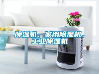 常見問題除濕機，家用除濕機，工業除濕機