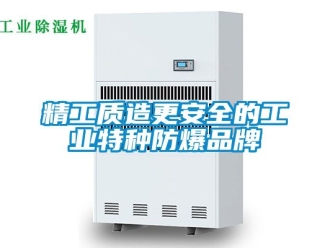 企業(yè)新聞精工質(zhì)造更安全的工業(yè)特種防爆品牌