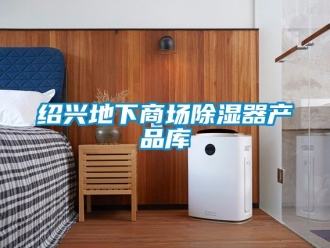 行業新聞紹興地下商場除濕器產品庫