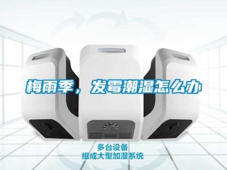 常見問題梅雨季，發霉潮濕怎么辦