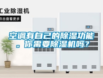 常見問題空調有自己的除濕功能。你需要除濕機嗎？