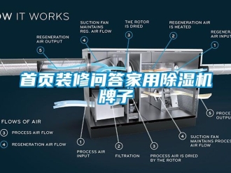 常見問題首頁(yè)裝修問答家用除濕機(jī)牌子