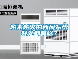 企業新聞越來越火的新風系統好處都有啥？