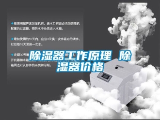 行業新聞除濕器工作原理 除濕器價格