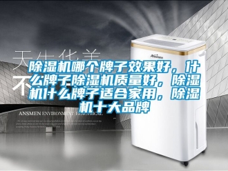 企業新聞除濕機哪個牌子效果好，什么牌子除濕機質量好，除濕機什么牌子適合家用，除濕機十大品牌