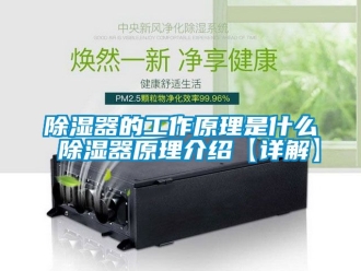 行業新聞除濕器的工作原理是什么 除濕器原理介紹【詳解】