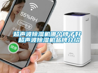企業新聞超聲波除濕機哪個牌子好 超聲波除濕機品牌介紹