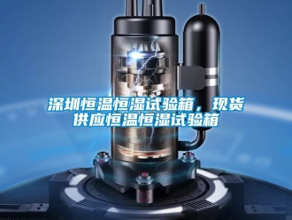 知識百科深圳恒溫恒濕試驗箱，現貨供應恒溫恒濕試驗箱
