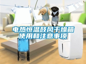 知識百科電熱恒溫鼓風干燥箱使用和注意事項