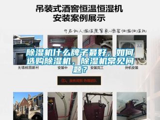 行業(yè)新聞除濕機(jī)什么牌子最好，如何選購除濕機(jī)，除濕機(jī)常見問題？