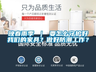 常見問題晚春雨季 ｜ 要怎么守護(hù)好我們的家具？做好防潮工作？