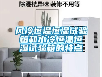 知識百科風冷恒溫恒濕試驗箱和水冷恒溫恒濕試驗箱的特點