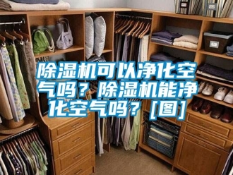 行業(yè)新聞除濕機(jī)可以凈化空氣嗎？除濕機(jī)能凈化空氣嗎？[圖]