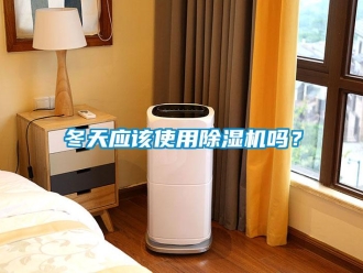 常見問題冬天應該使用除濕機嗎？