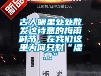 企業新聞古人眼里處處散發這詩意的梅雨時節，在我們這里為何只剩“濕意”