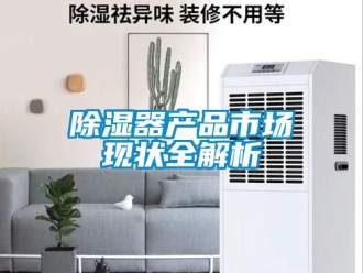 行業新聞除濕器產品市場現狀全解析