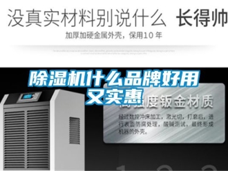 企業新聞除濕機什么品牌好用又實惠